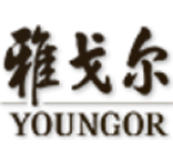 雅戈尔系统开发