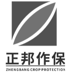 正邦小程序开发